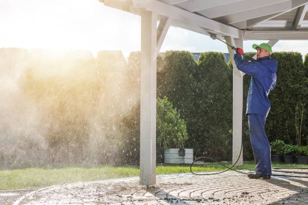 Best Rust Removal  in Windsor, CO